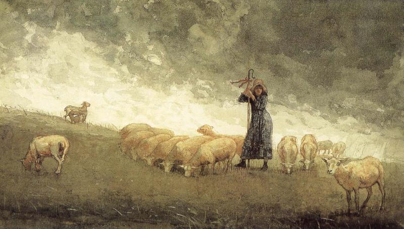  Shepherdess still control the sheep